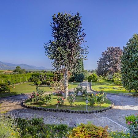 Villa Luce-Casa Vacanza Con Vista Panoramica Mare. Velletri Exteriér fotografie