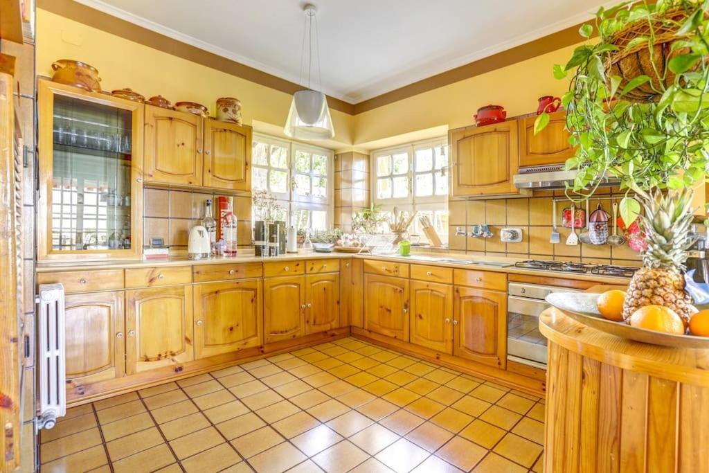 Villa Luce-Casa Vacanza Con Vista Panoramica Mare. Velletri Exteriér fotografie